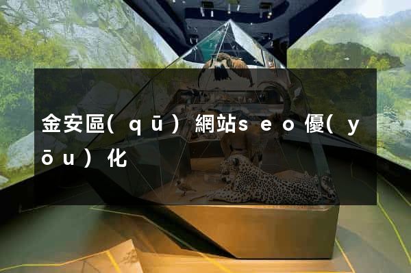 金安區(qū)網站seo優(yōu)化