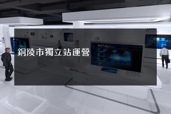 銅陵市獨立站運營