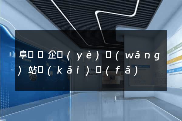 阜寧縣企業(yè)網(wǎng)站開(kāi)發(fā)
