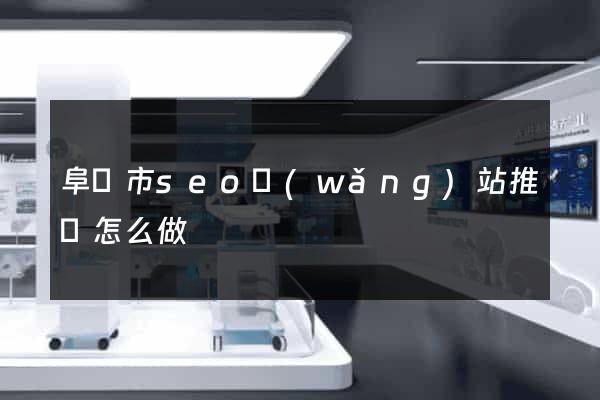 阜陽市seo網(wǎng)站推廣怎么做