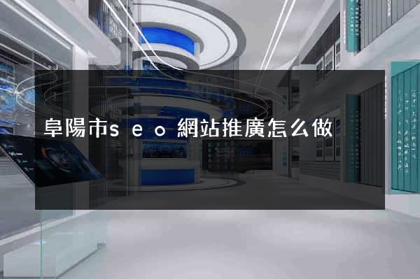 阜陽市seo網站推廣怎么做