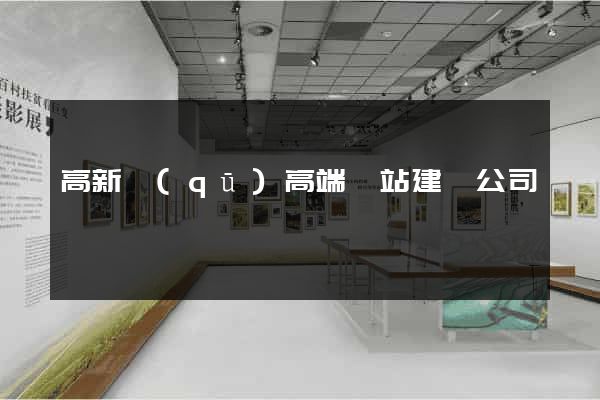 高新區(qū)高端網站建設公司