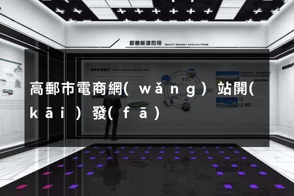 高郵市電商網(wǎng)站開(kāi)發(fā)