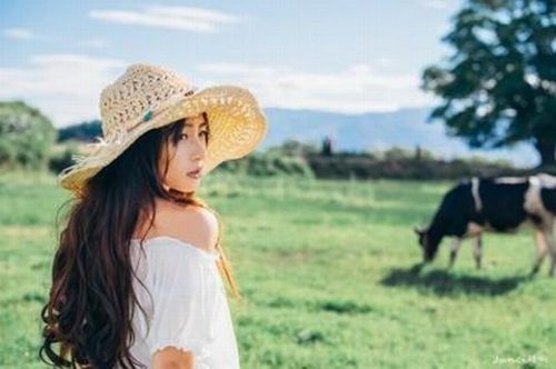 廈門專業(yè)網站制作公司