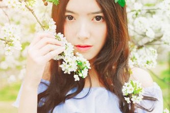 大型門戶網(wǎng)站建設(shè)價格公司