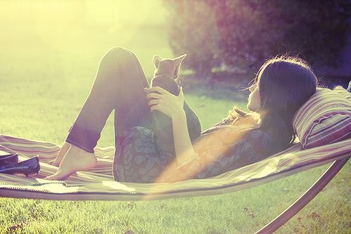 鳩江區(qū)公司網(wǎng)站制作