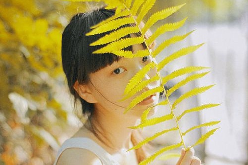 vue搭建的網(wǎng)站